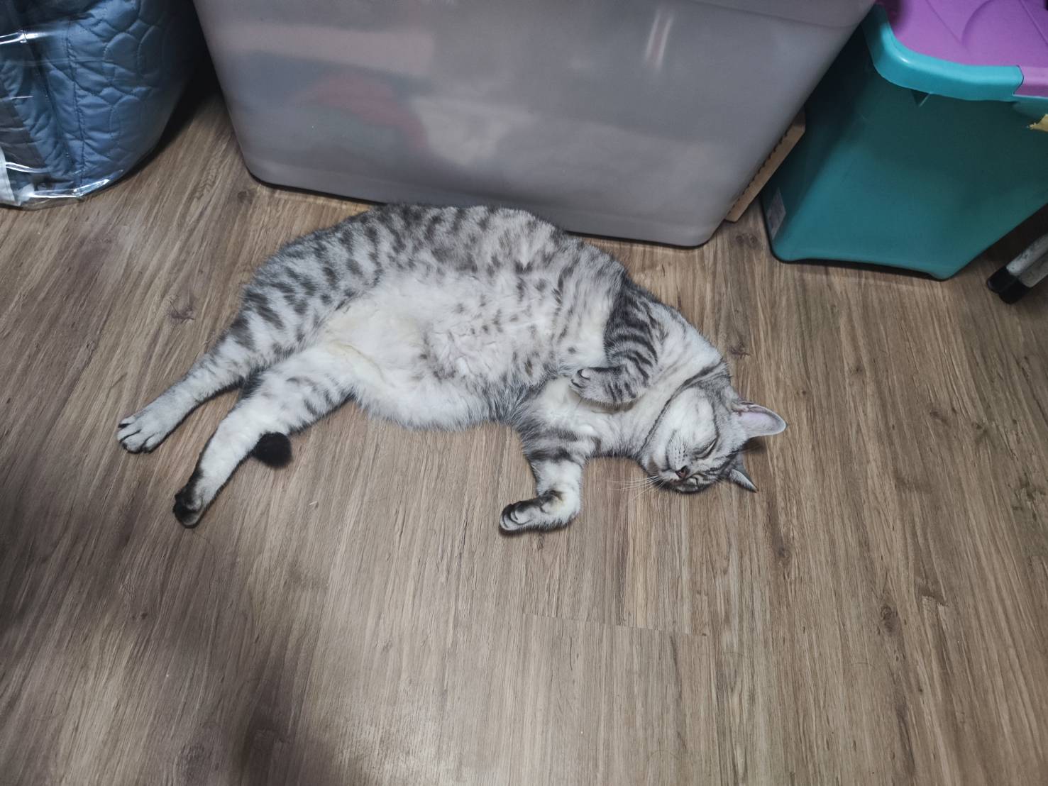 เทส 1