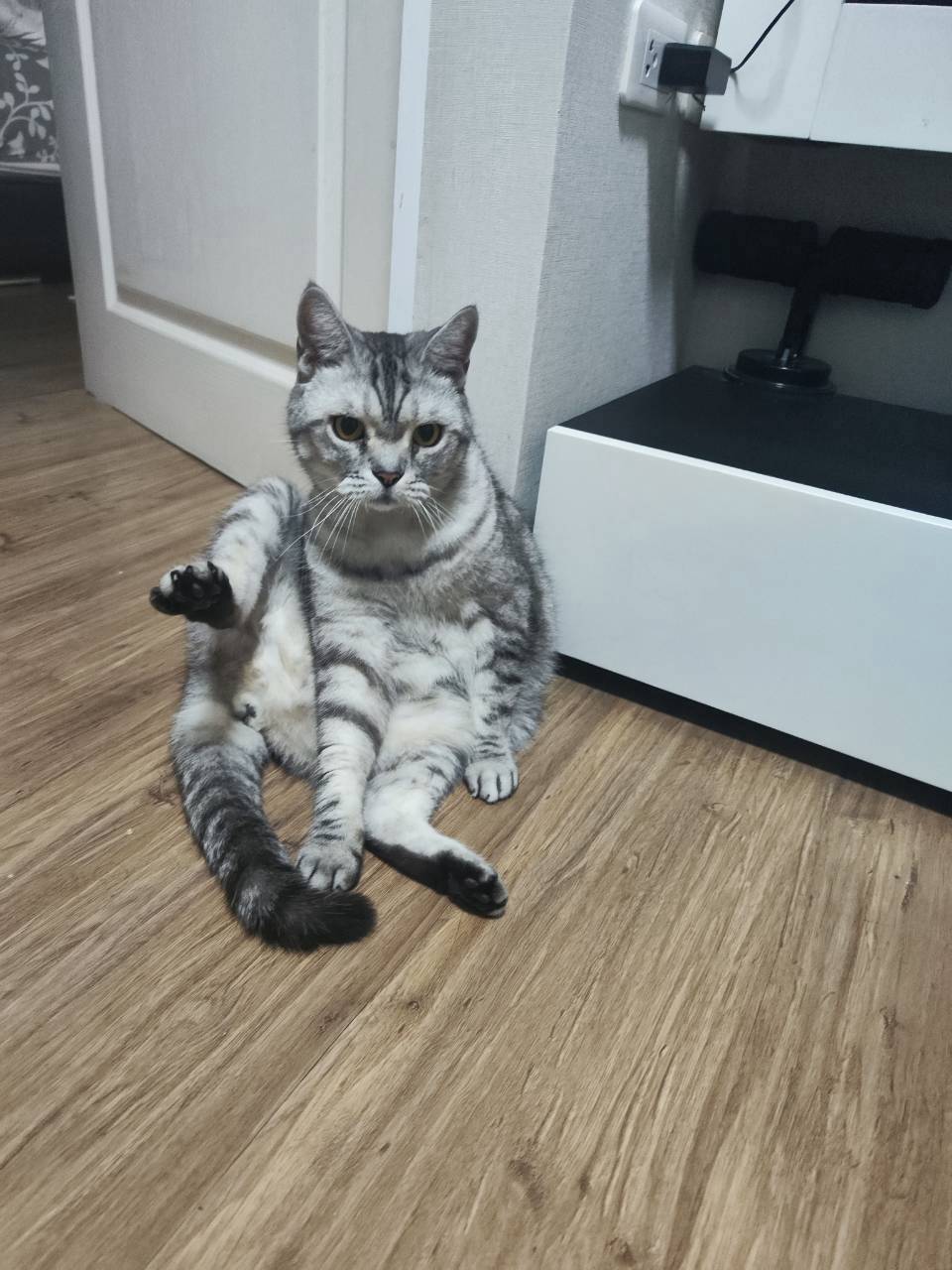 -