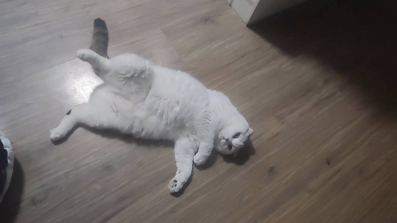เทส 3