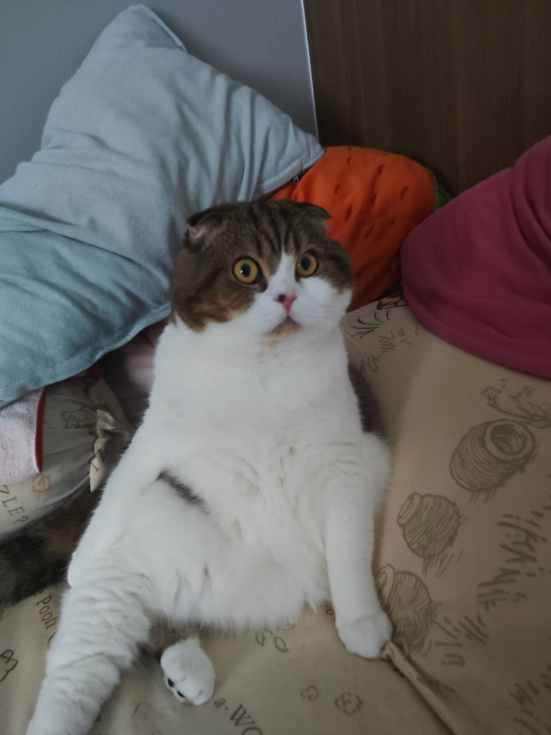 ฟฟฟฟฟฟฟฟฟฟฟฟฟฟ