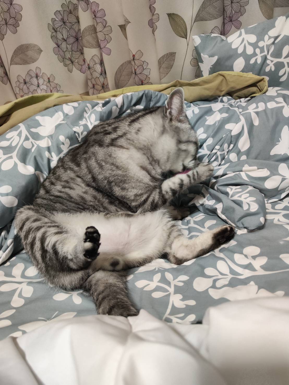 test 22 — 1