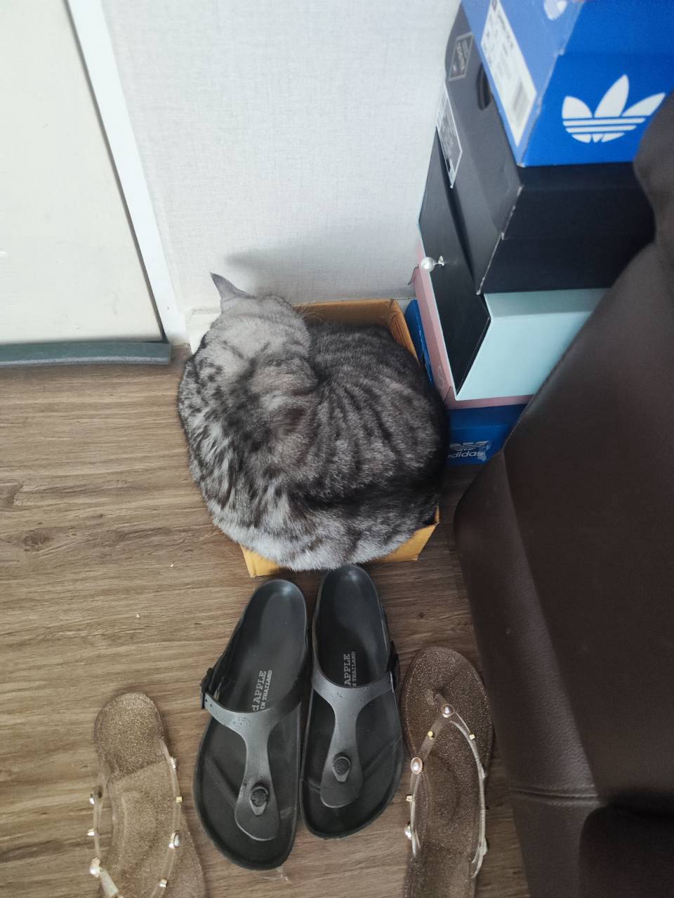 Product Sigma