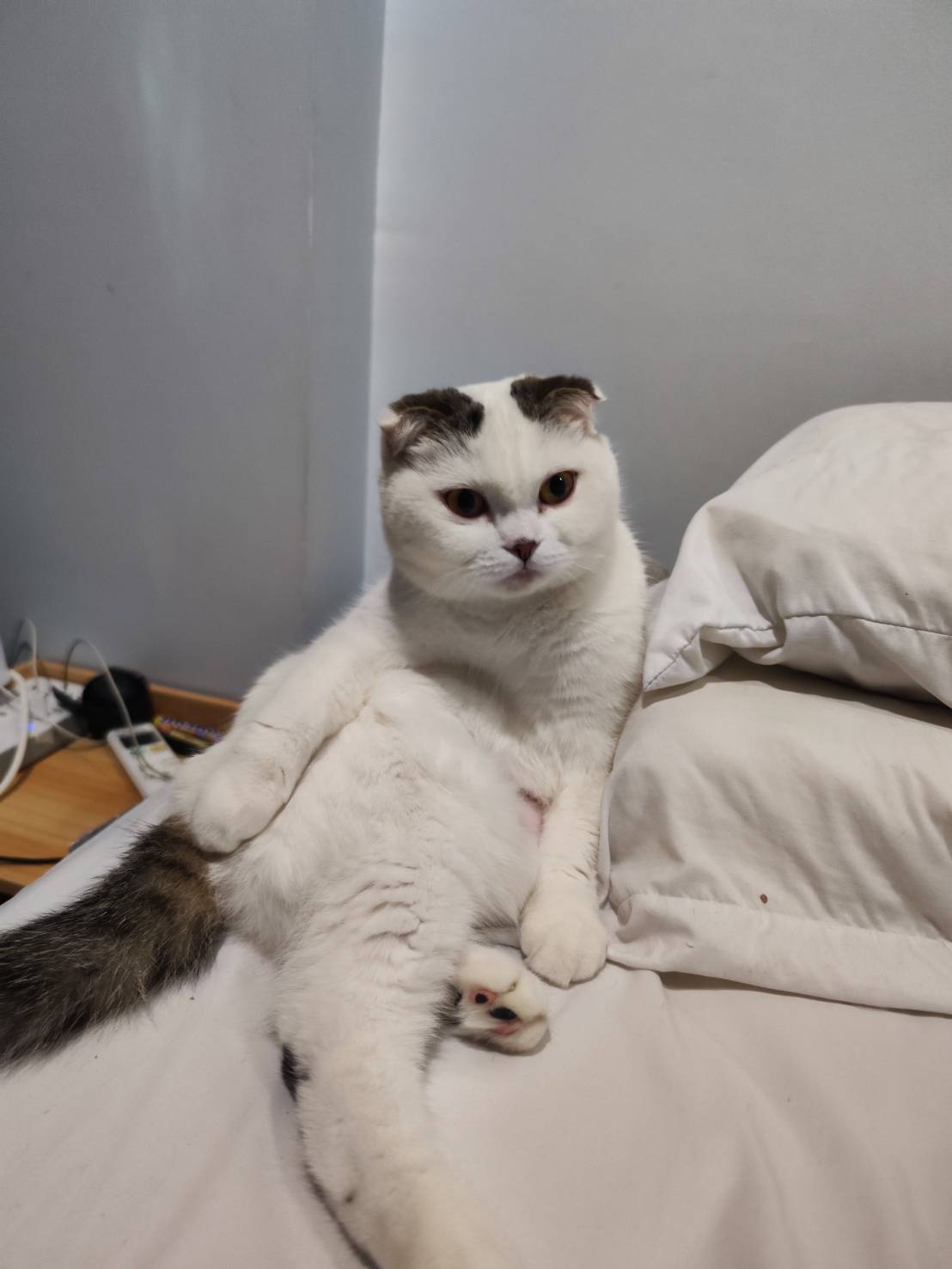 เทส 1
