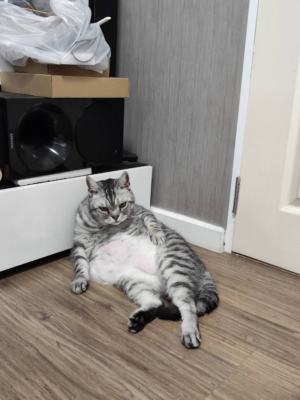 ตงนั่ง